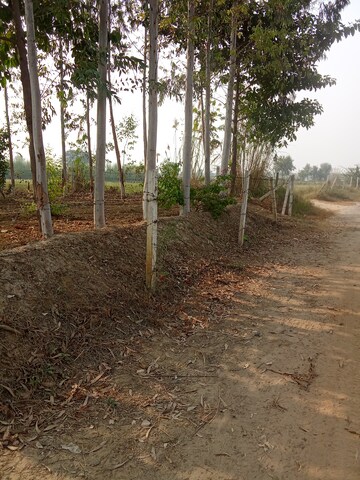 Plot Area in  Plot at Tappal – for Sale