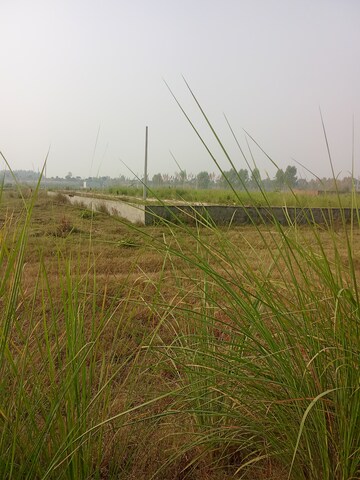  Plot For Sale in Tappal