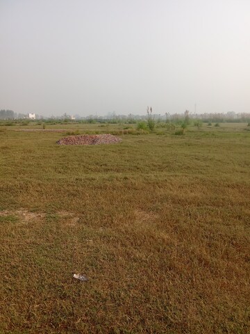 Plot Area in  Plot at Tappal – for Sale