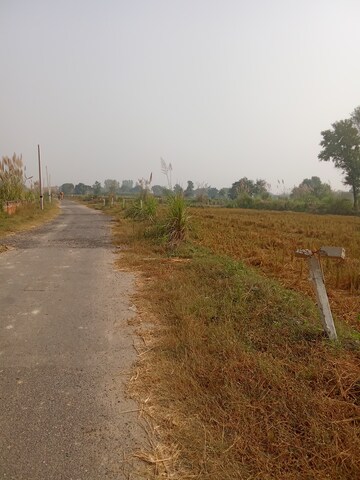  Plot For Sale in Tappal