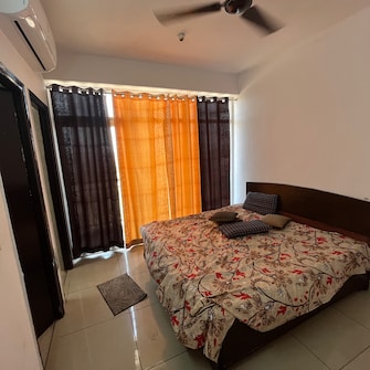 1 BHK Apartment For Rent in AVL 36 Gurgaon Sector 36a Gurgaon  7747618