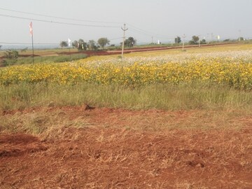 Plot Area in  Plot at Mominpet – for Sale