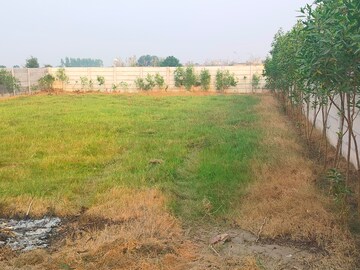  Plot For Sale in PropZone Taj Green Residency, Sector 140a