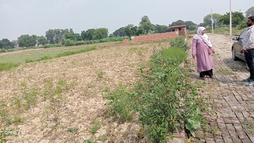 Plot Area in  Plot at Kamta – for Sale