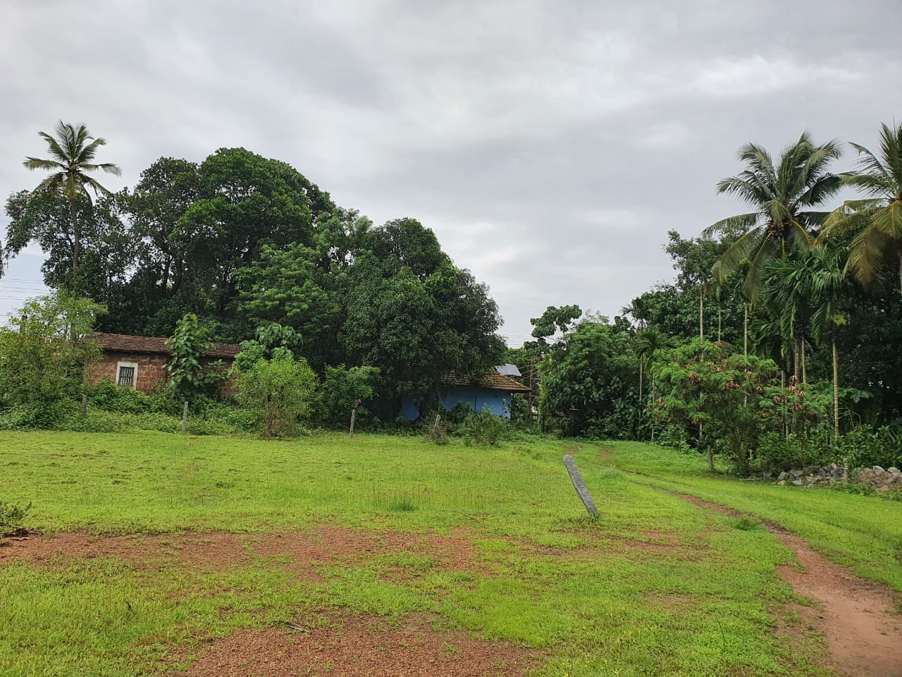 Plot For Resale in Mulki Mangalore  7747892