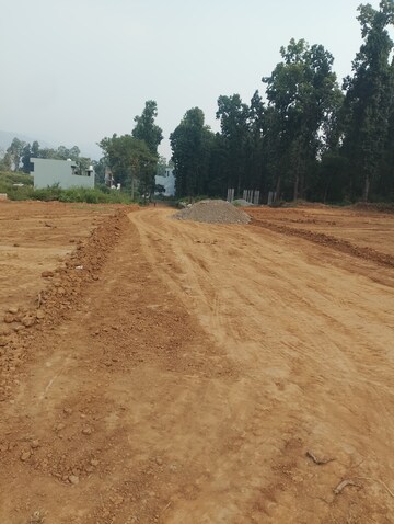 Plot Area in  Plot at Raipur Road – for Sale