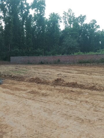 Plot Area in  Plot at Raipur Road – for Sale