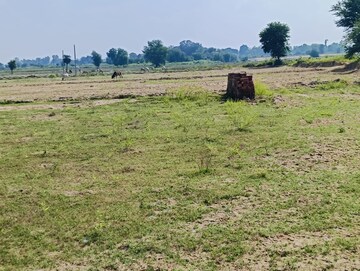  Plot For Sale in Wazirganj
