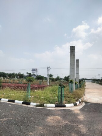 Plot For Resale in Shabad Hyderabad  7748291