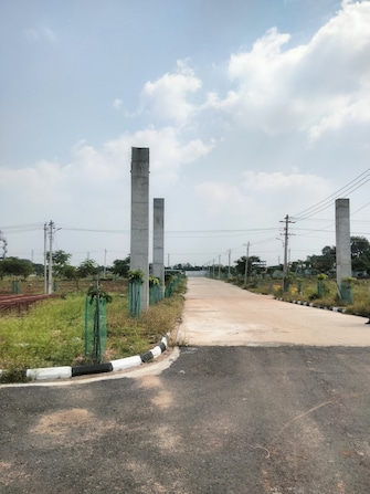 Plot For Resale in Shabad Hyderabad  7748291