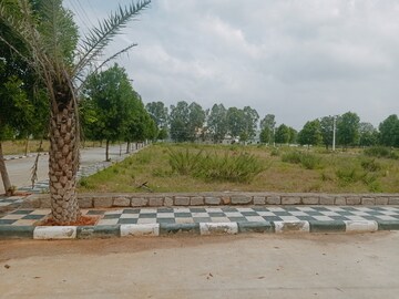 Plot Area in  Plot at Shadnagar – for Sale