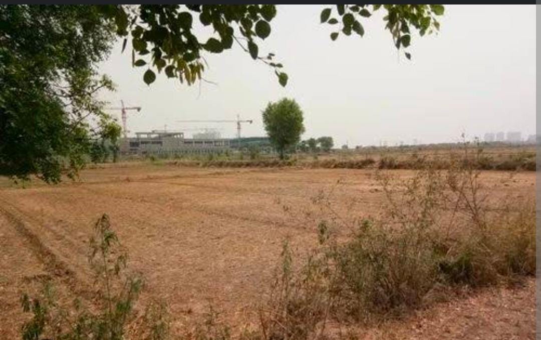 Plot For Resale in Mangalpalle Hyderabad  7748486