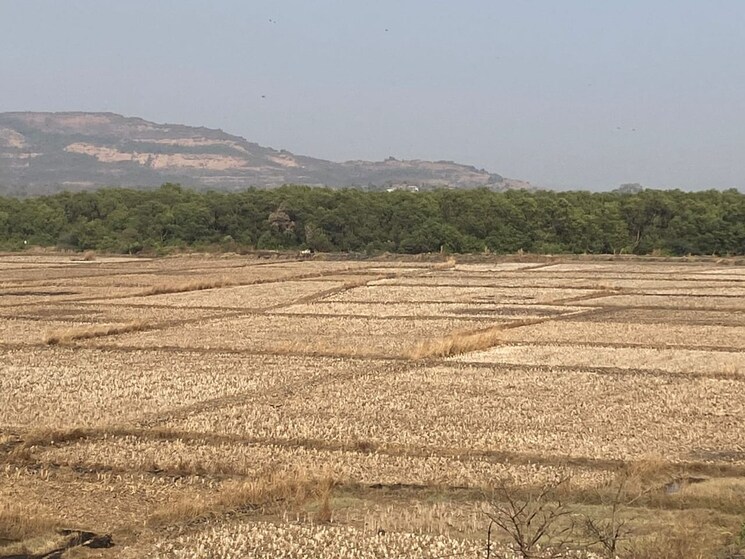 undefined, navi-mumbai-plots  1000 Sq.Ft. Plot In Uran Navi Mumbai 7748583