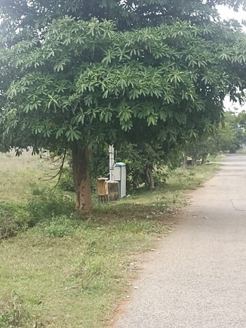 Plot Area in  Plot at Attibele – for Sale
