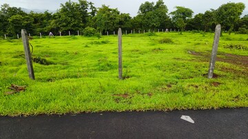  Plot For Sale in Mangaon