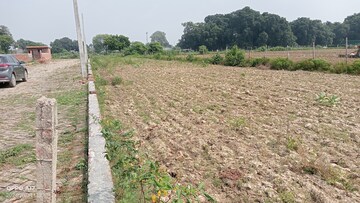 Plot Area in  Plot at Kamta – for Sale