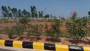  Plot – Exterior View View at Anekal - for Sale