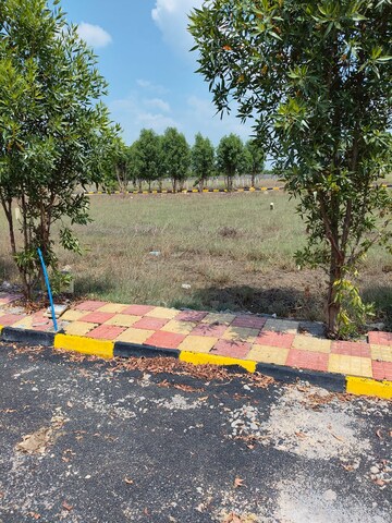 Plot Area in  Plot at Veltur – for Sale