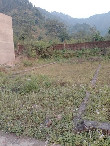 Plot Area in  Plot at Raipur Road – for Sale
