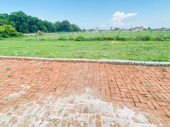 Plot For Resale in Kamta Lucknow  7749525