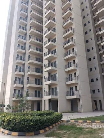 2 BHK Apartment For Rent in Royal Green Heights Sector 62 Gurgaon  7749569