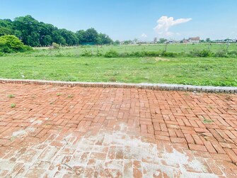 Plot For Resale in Kamta Lucknow  7749548