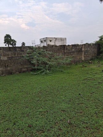 Plot For Resale in Royal Court Padappai Chennai  7749630