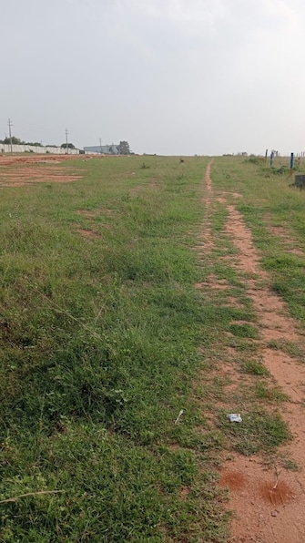 Plot For Resale in Bangarapet Kolar  7743401