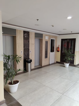 3 BHK Apartment For Rent in Uptown Insignia International Airport Road Zirakpur  7749040