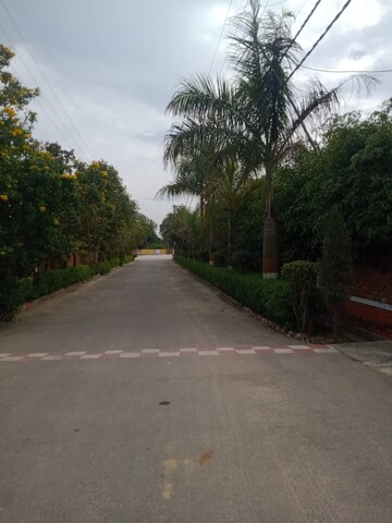  Plot – Garden View at Meerut Cantt - for Sale