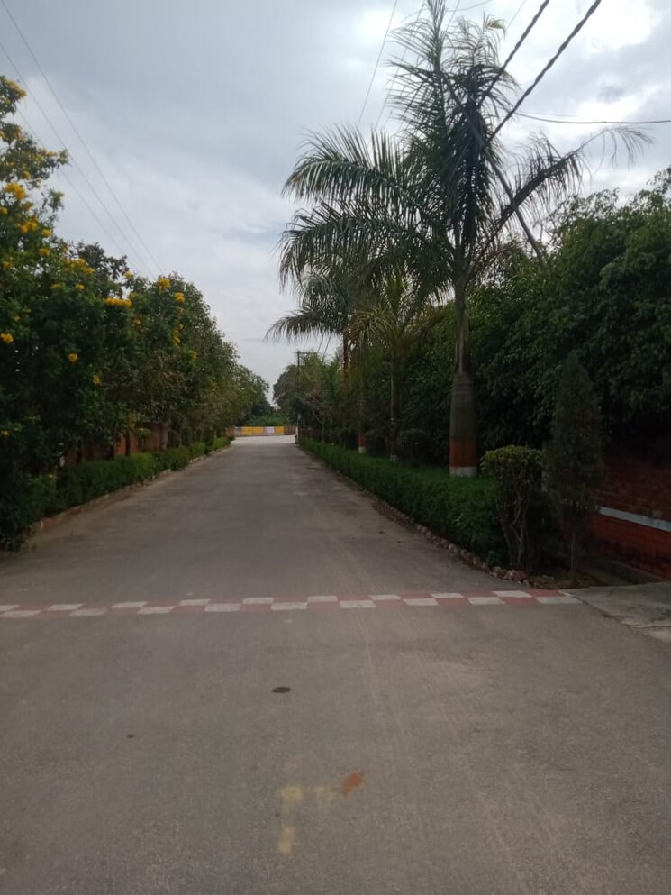 Exterior View, meerut cantt 3 Bedroom 100 Sq.Yd. Villa In Meerut Cantt Meerut 7749912