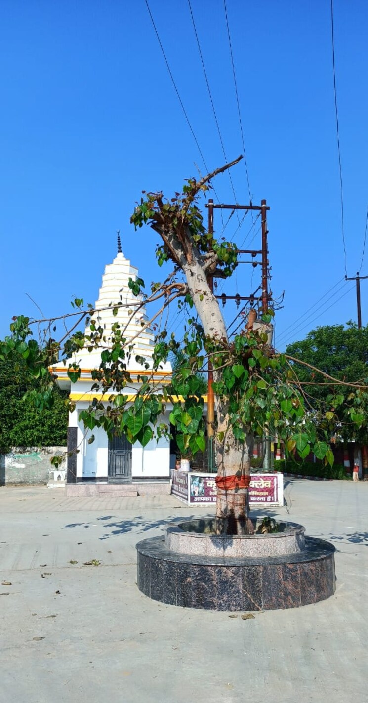 Exterior View, meerut cantt 3 Bedroom 100 Sq.Yd. Villa In Meerut Cantt Meerut 7749912