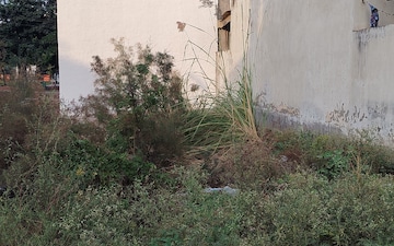 Plot For Sale in Sector 2