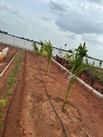 Plot Area in  Plot at Sri Bhumi Eeshaanya, Kankipadu – for Sale