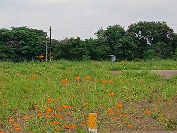 Plot Area in  Plot at Gangapur – for Sale
