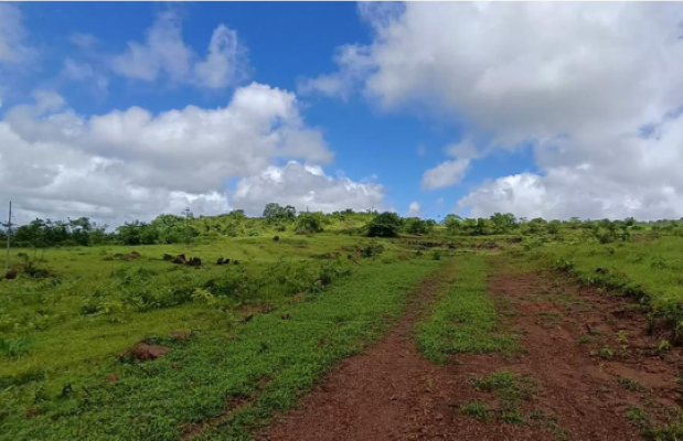 Plot For Resale in Mahad Raigad  7750904