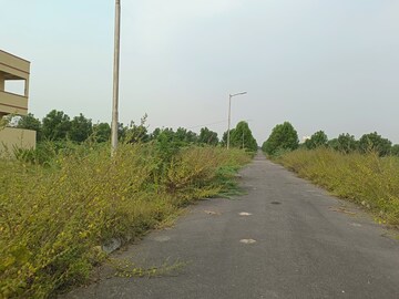 Plot Area in  Plot at Rudraram – for Sale