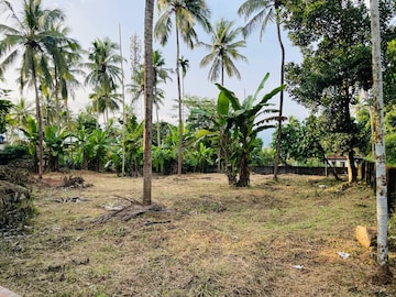 Plot For Resale in Manjeri Malappuram  7747453