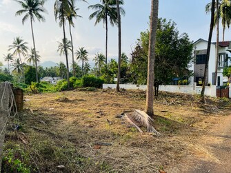 Plot For Resale in Manjeri Malappuram  7747453