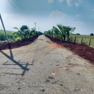 Plot Area in  Plot at Kamkole – for Sale