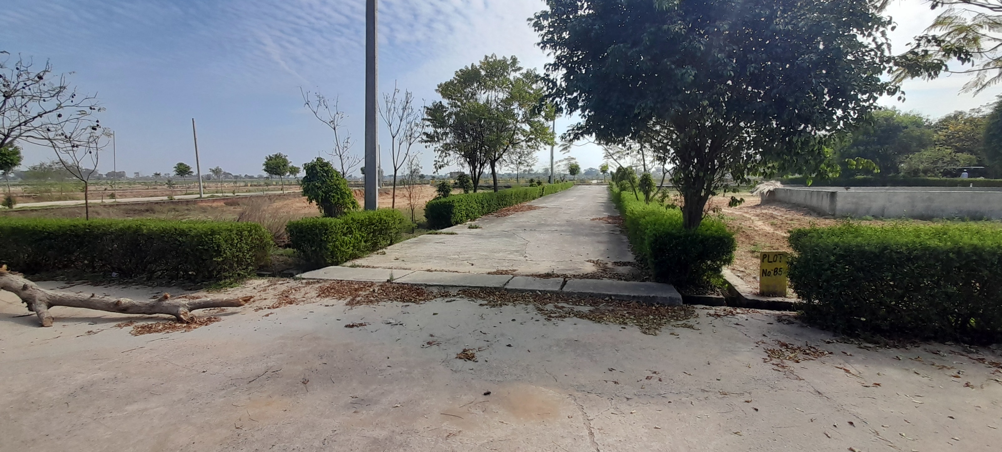 Plot For Sale in Plot For Sale Near Jewar 