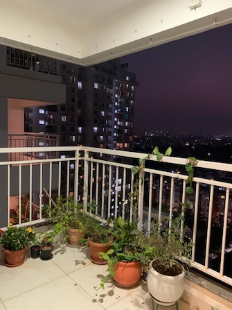 3 BHK Apartment For Resale in Puravankara Palm Beach Hennur Bangalore  7753200