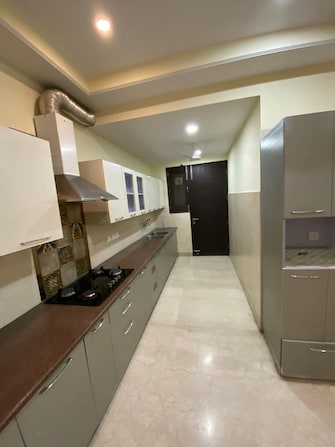 4 BHK Builder Floor For Rent in Ansal Sushant Residency Sushant Lok Iii Gurgaon  7753262