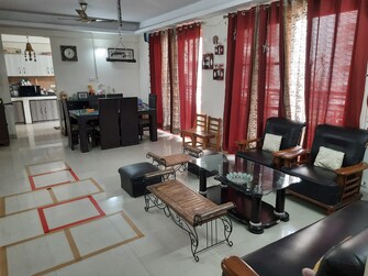 3 BHK Apartment For Rent in Puri Pranayam Sector 82 Faridabad  7753589