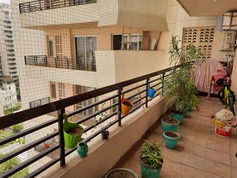 3 BHK Apartment For Rent in Puri Pranayam Sector 82 Faridabad  7753589