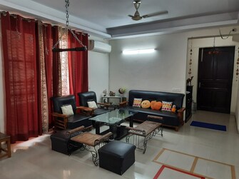 3 BHK Apartment For Rent in Puri Pranayam Sector 82 Faridabad  7753589