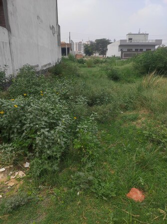 Plot For Resale in Sector 2 Bahadurgarh  7753658