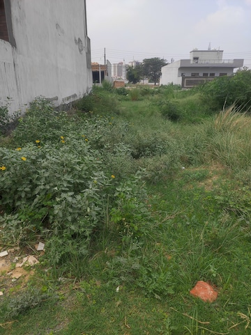 Plot For Resale in Sector 2 Bahadurgarh  7753658