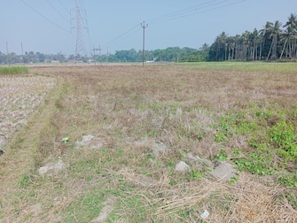 Commercial Land 5040 Sq.Ft. For Resale in Natagarh Kolkata  7735224