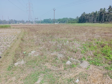 Commercial Land 5040 Sq.Ft. For Resale in Natagarh Kolkata  7735224